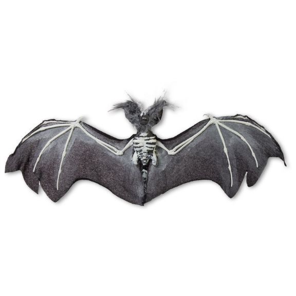 Halloween Fledermaus Skelett